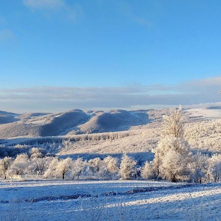 Nature Homestay Тренчин Экстерьер фото