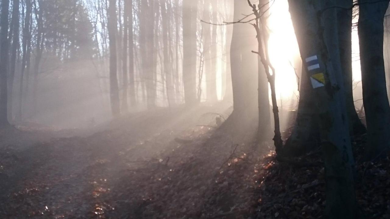 Nature Homestay Тренчин Экстерьер фото