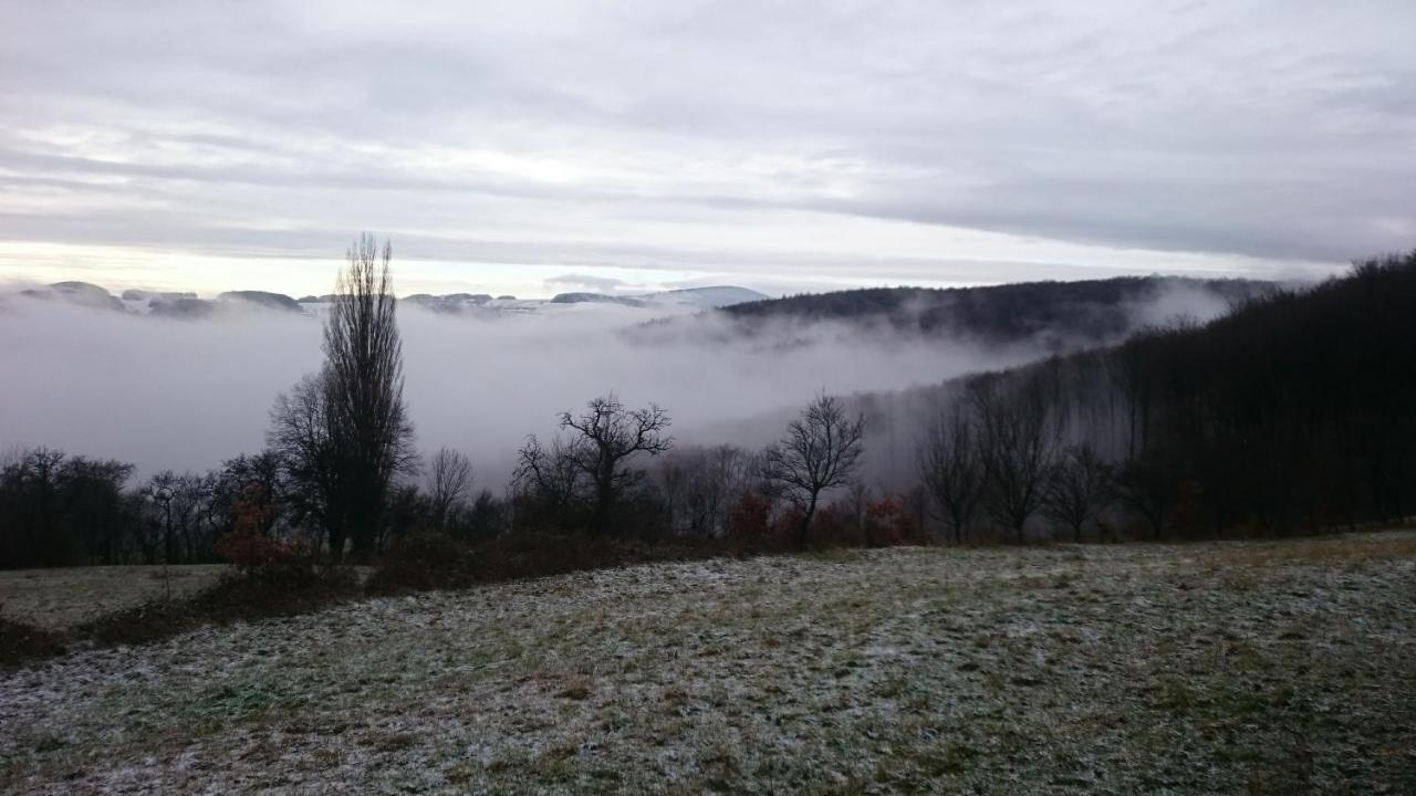 Nature Homestay Тренчин Экстерьер фото