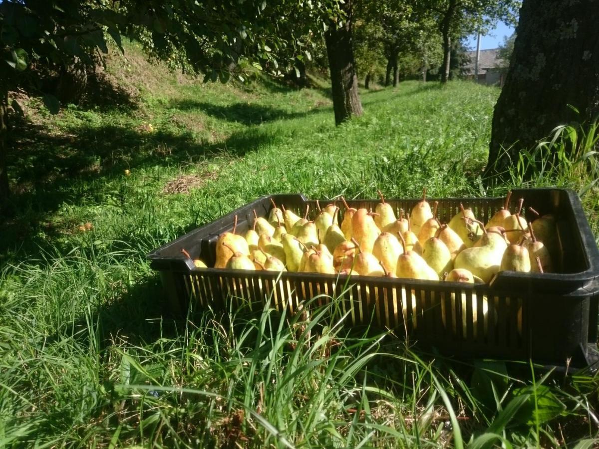 Nature Homestay Тренчин Экстерьер фото