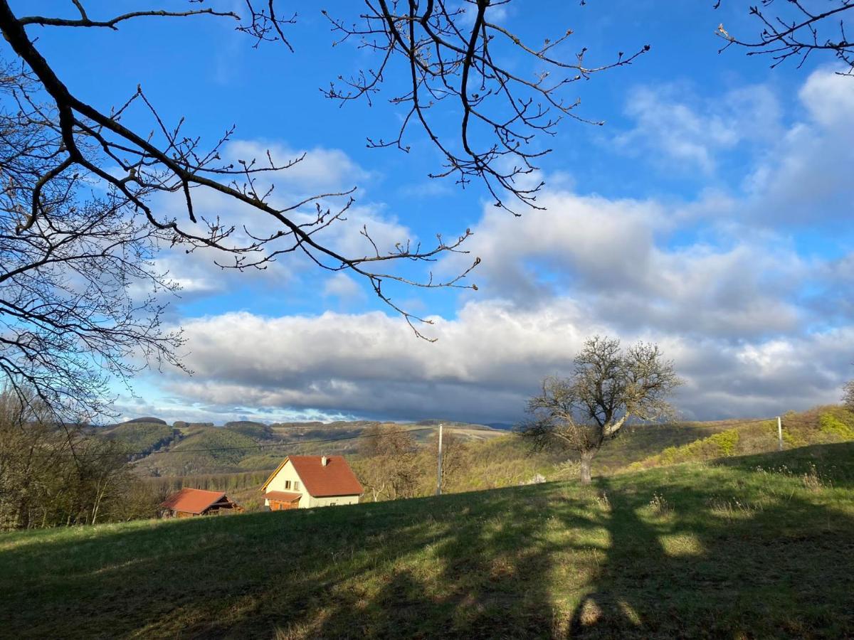 Nature Homestay Тренчин Экстерьер фото