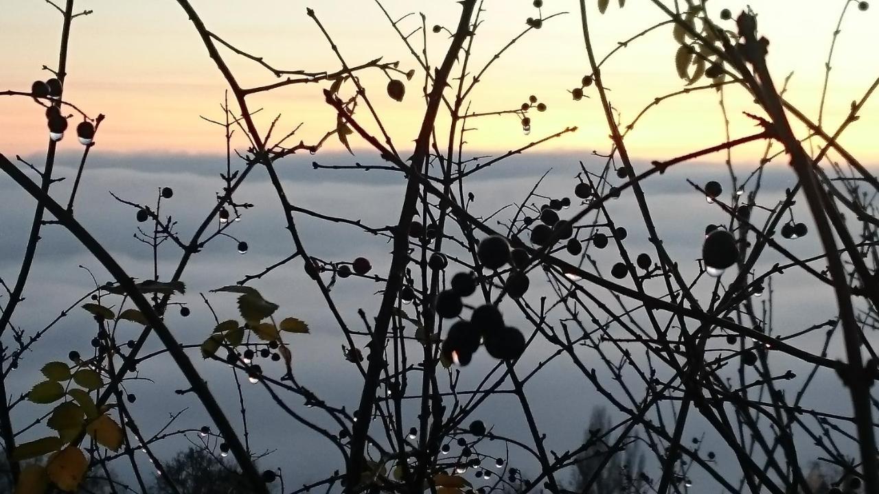 Nature Homestay Тренчин Экстерьер фото